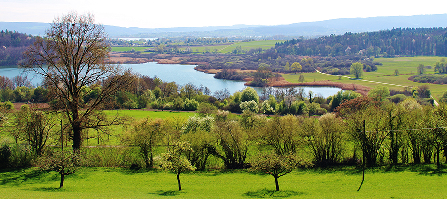 Panorama Mindelsee - Gerhard Thau