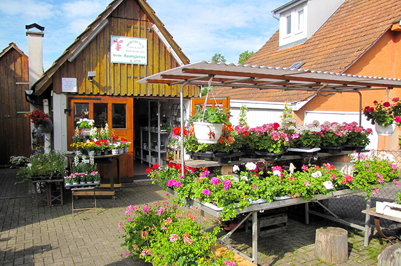 Blumenladen - Thau